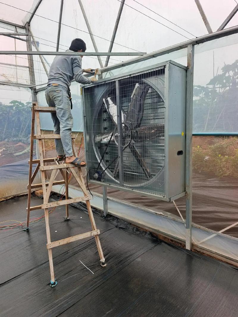 大棚水暖電升級(jí) 高效三箱電風(fēng)機(jī)為恒溫與節(jié)能保駕護(hù)航
